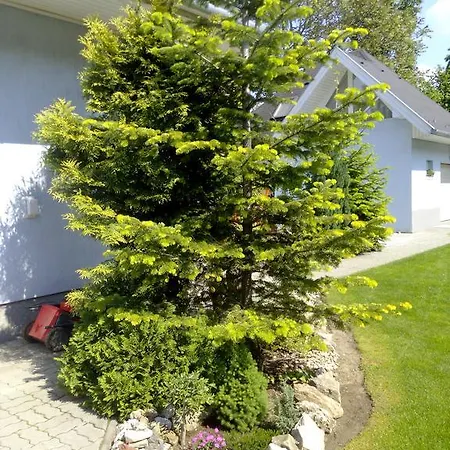 Holiday home Iso Apartman