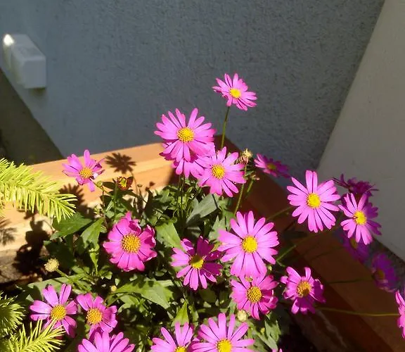 Iso Prázdninový dům Siófok