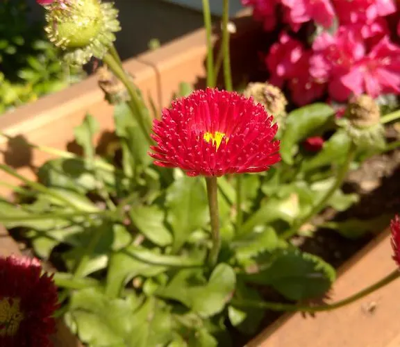 Iso Prázdninový dům