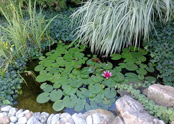 Prázdninový dům Iso *