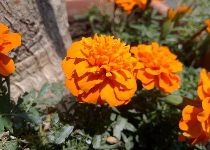 Prázdninový dům Iso Siófok