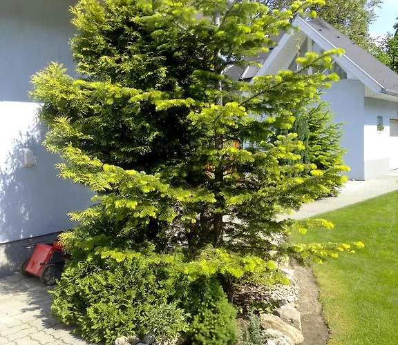 Prázdninový dům Iso